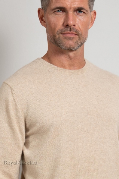 Кашемировый мужской джемпер 713-M-1