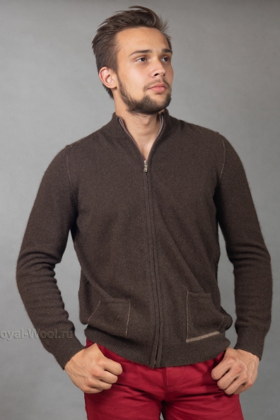 Мужской джемпер на молнии 1911-1NR
