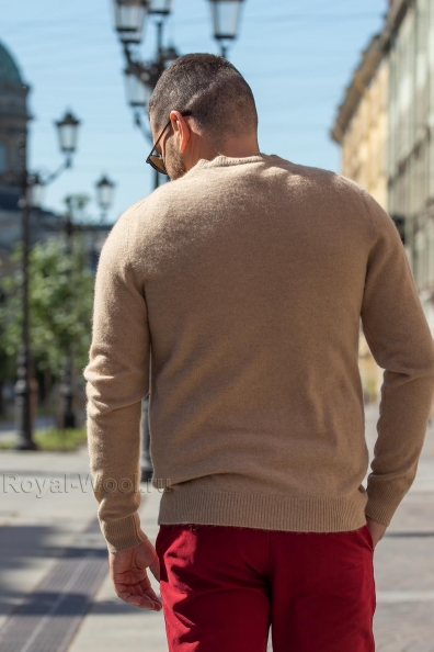 Шерстяной мужской джемпер с узором арт.190-BB-1