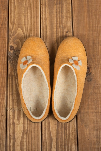Женские войлочные тапочки с задником 214-D3