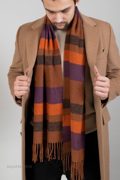 Мужской шарф в цветную полоску 760-25M