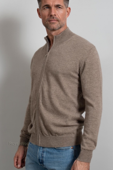 Мужской бежевый джемпер на молнии 713-1EM-beige