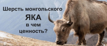 Ценность шерсти яка