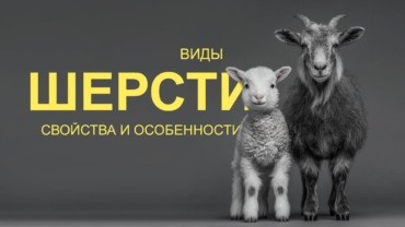 Что такое шерсть